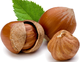 hazelnuts