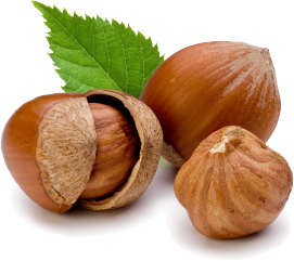 hazelnuts