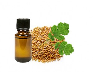 Mustard Essential Oil