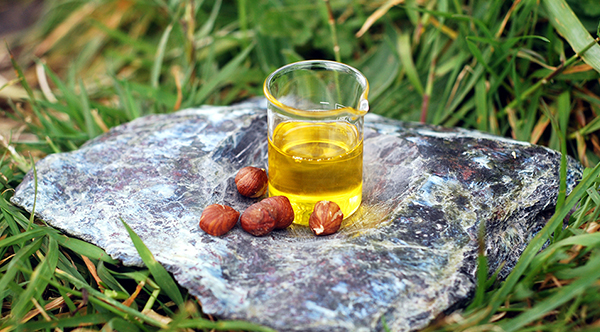 Hazelnut Oil