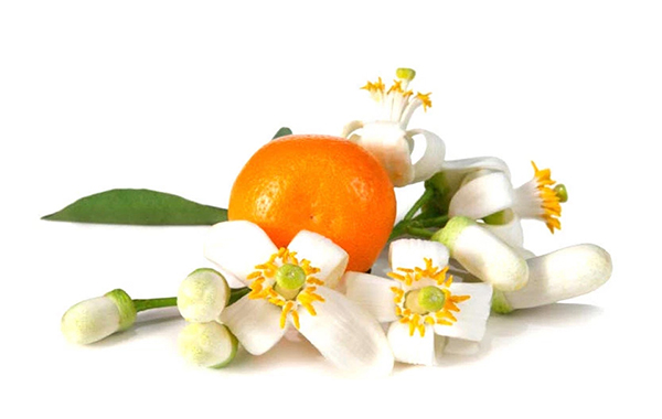 neroli-oil