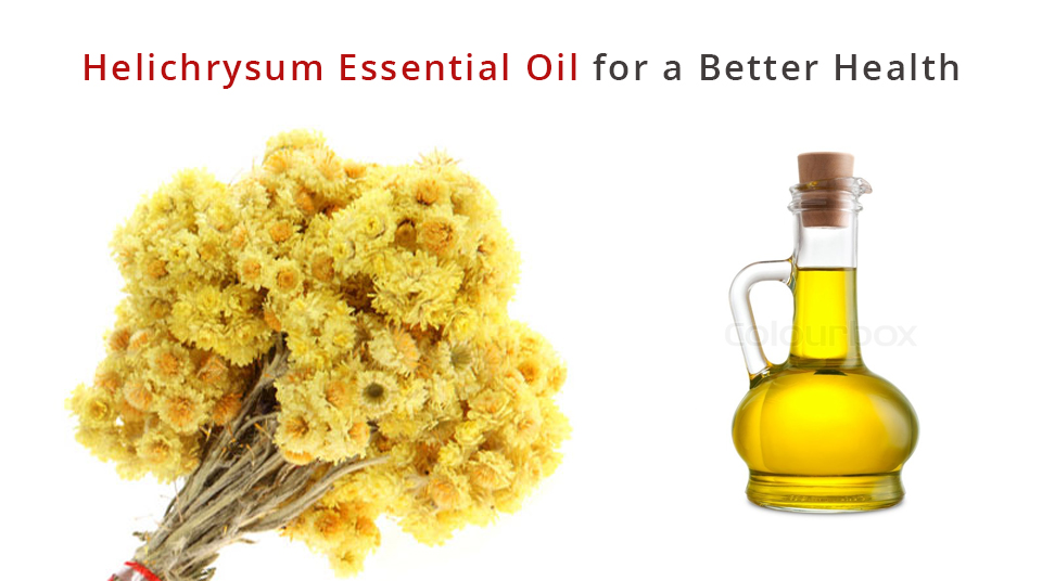 Helichrysum Essential Oil