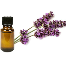 Lavender Oil