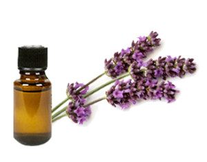 Lavender Oil