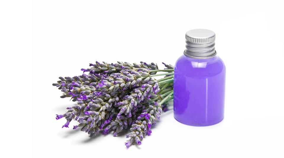 Lavender-Oil