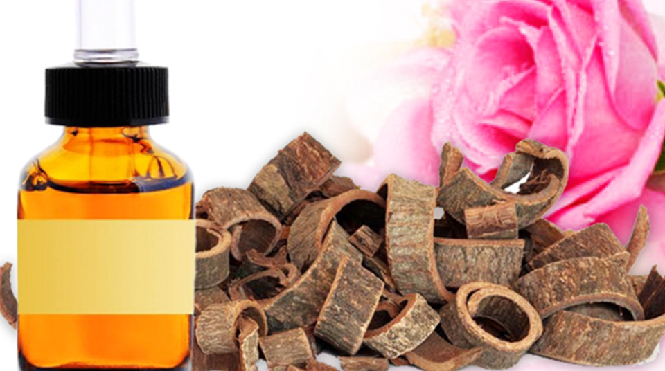 rosewood oil benefits