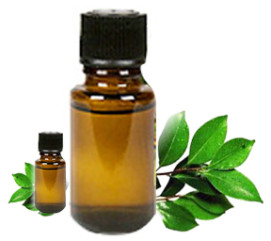 ajwain oil