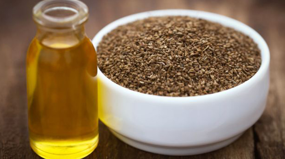 ajwain oil uses