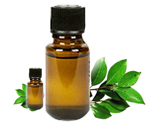 ajwain oil
