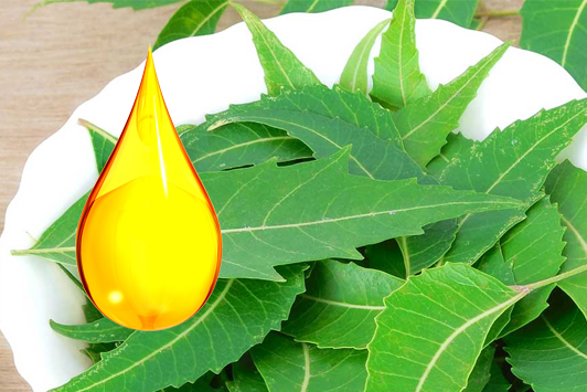 neem oil uses and benefits