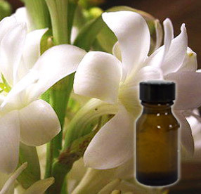 Tuberose oil