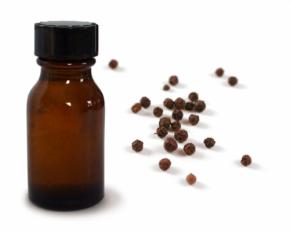 Buy Black Pepper Oil