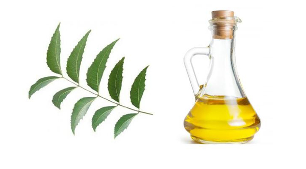 neem oil uses and benefits
