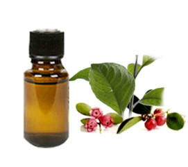 Wintergreen Oil