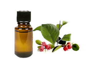 Wintergreen Oil