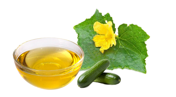 cucumber oil uses