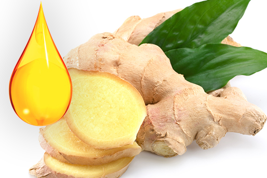 ginger oil uses & benefits