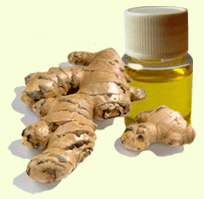 ginger oil